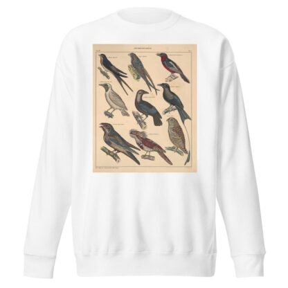 Abbildungen zu Oken’s Allgemeiner Naturgeschichte für alle Stände Pl.120 by Lorenz Oken Sweatshirt