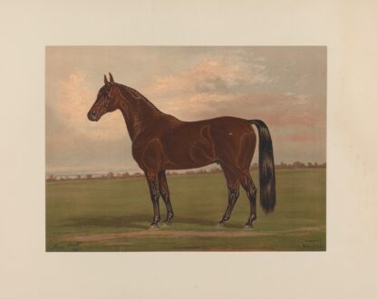 Almont by Henry Stull
