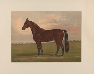 Almont by Henry Stull