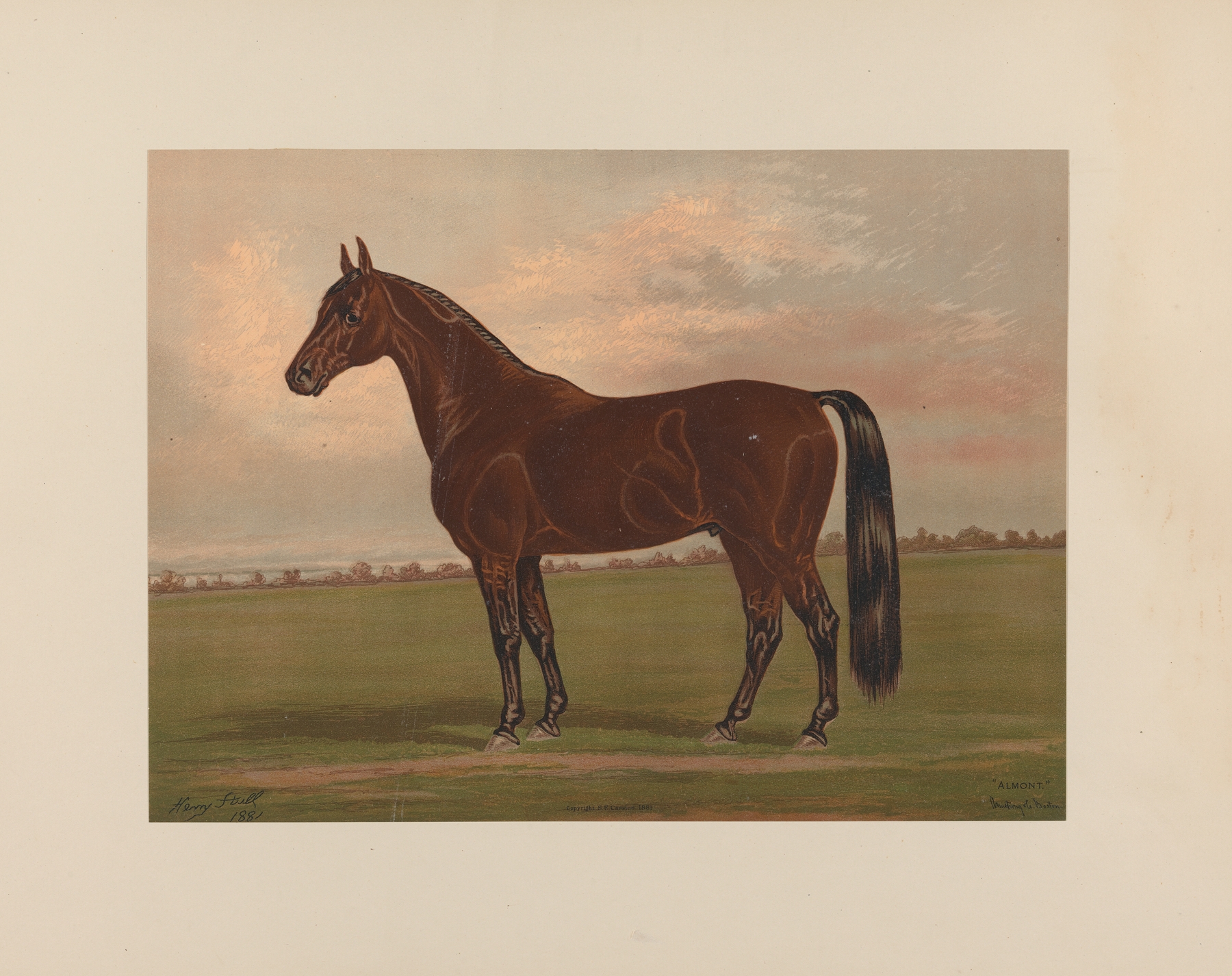 Almont by Henry Stull