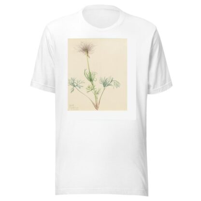 American Pasqueflower by Mary Vaux Walcott T-Shirt