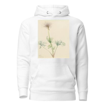 American Pasqueflower by Mary Vaux Walcott Hoodie