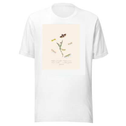 An epitome of the natural history of the insects of New Holland, New Zealand Pl.08 by Edward Donovan T-Shirt