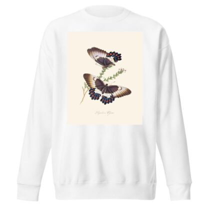 An epitome of the natural history of the insects of New Holland, New Zealand Pl.13 by Edward Donovan Sweatshirt