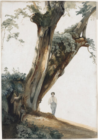 Ancient Trees in the Roman Campagna by Giovanni Costa