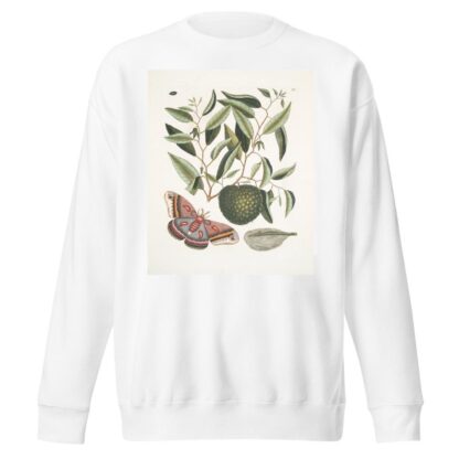 Anona maxima &c.; Phalæna magna, The largest Carolina Moth; The Caterpillar of this Moth. by Mark Catesby Sweatshirt