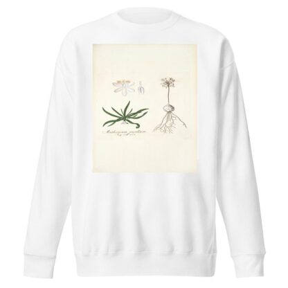 Anthericum pusillum by Nikolaus Joseph Freiherr von Jacquin Sweatshirt