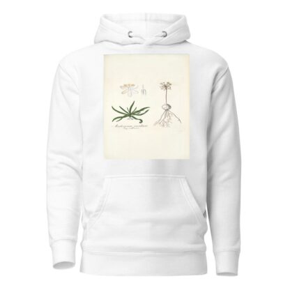 Anthericum pusillum by Nikolaus Joseph Freiherr von Jacquin Hoodie
