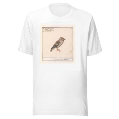 Appelvink by Anselmus Boëtius de Boodt T-Shirt
