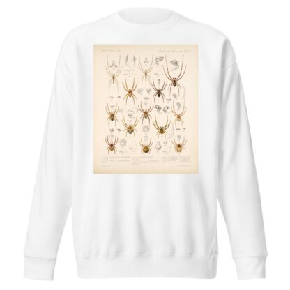 Arachnida Araneidea Pl 03 by Frederick DuCane Godman Sweatshirt