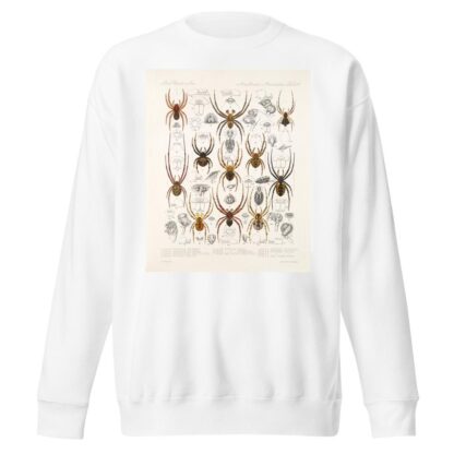 Arachnida Araneidea Pl 37 by Frederick DuCane Godman Sweatshirt