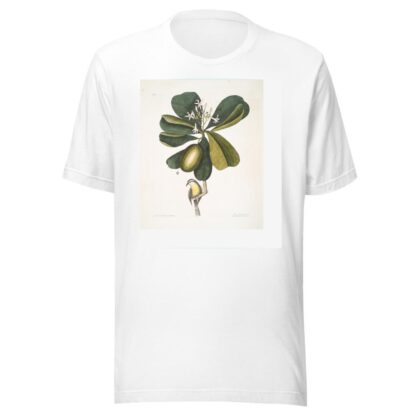 Arbor Jasmini floribus, The Seven Years Apple; Parus Bahamensis, The Bahama Titmous. by Mark Catesby T-Shirt