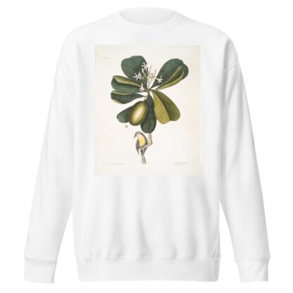 Arbor Jasmini floribus, The Seven Years Apple; Parus Bahamensis, The Bahama Titmous. by Mark Catesby Sweatshirt