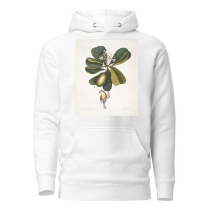 Arbor Jasmini floribus, The Seven Years Apple; Parus Bahamensis, The Bahama Titmous. by Mark Catesby Hoodie