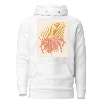 Areca Sapida by Georgina Burne Hetley Hoodie