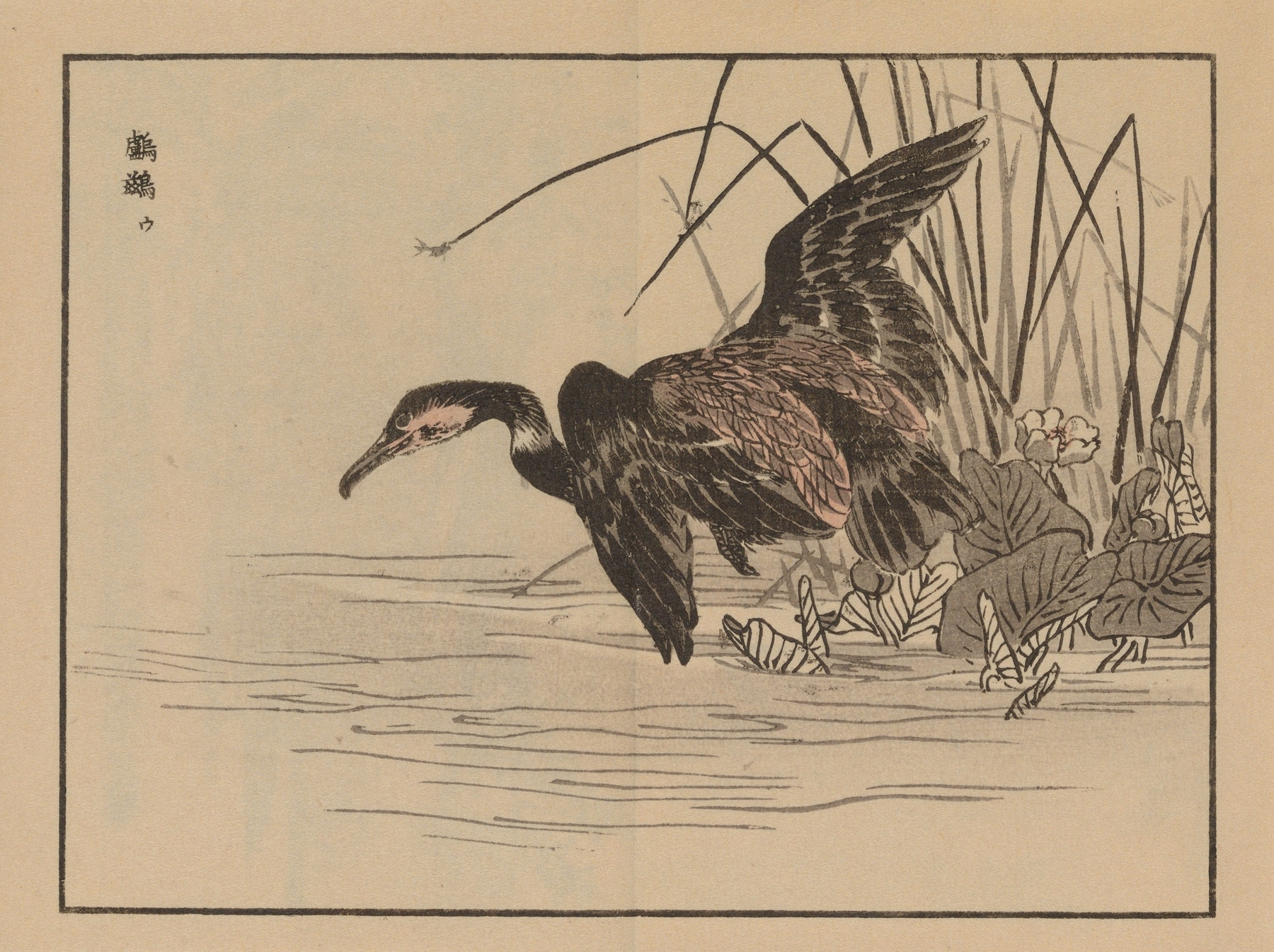 Bairei gafu, Pl.33 by Kōno Bairei