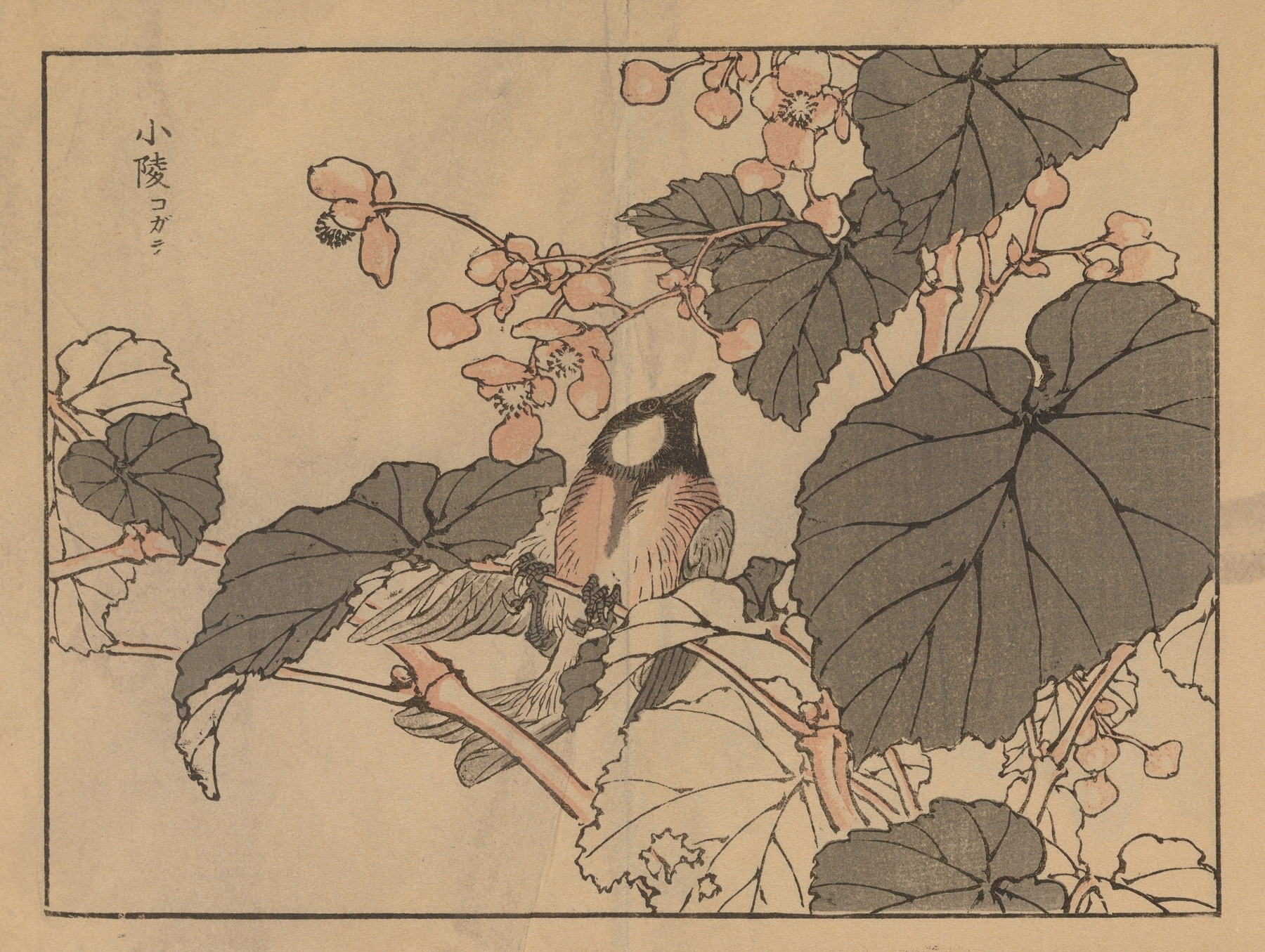 Bairei gafu, Pl.39 by Kōno Bairei