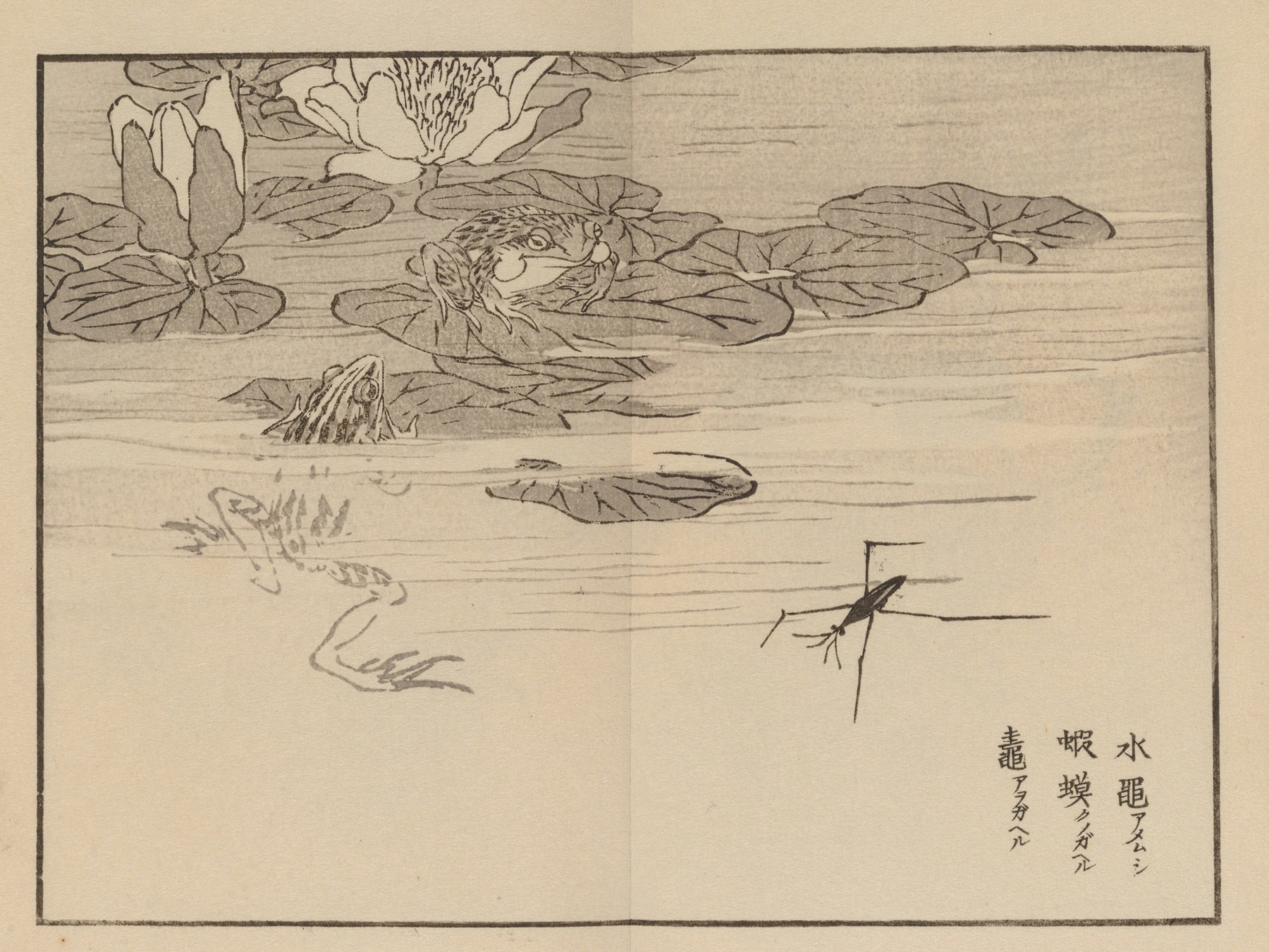 Bairei gafu, Pl.63 by Kōno Bairei