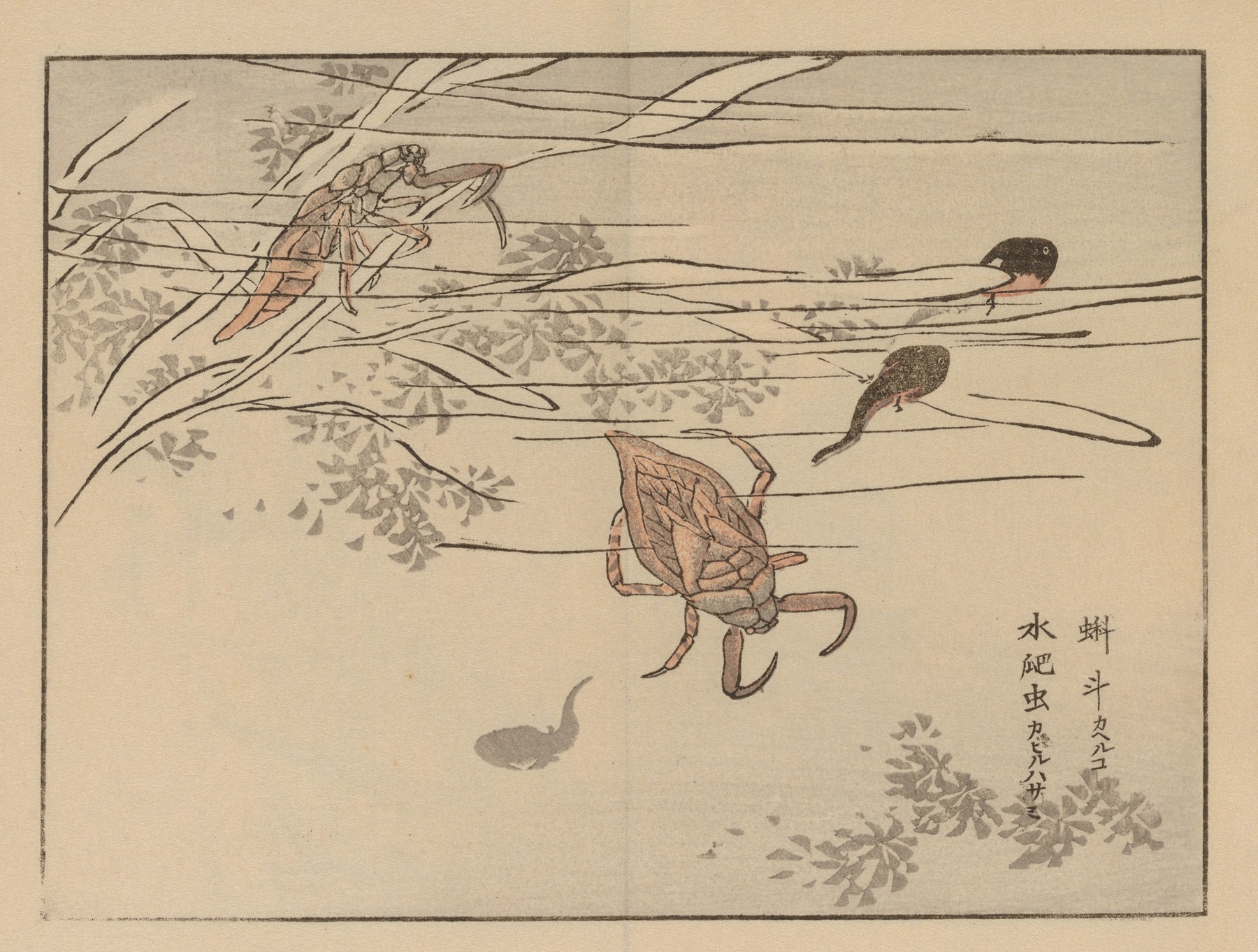 Bairei gafu, Pl.67 by Kōno Bairei