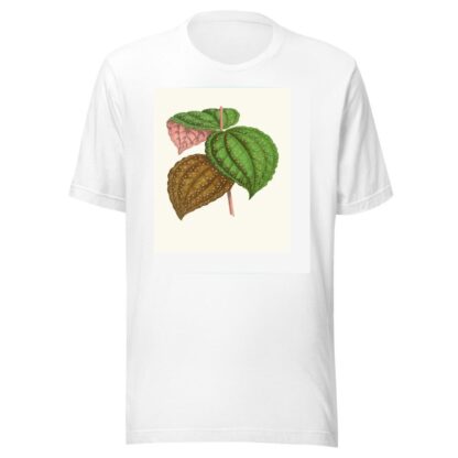 Bertolonia Guttata by Edward Joseph Lowe T-Shirt