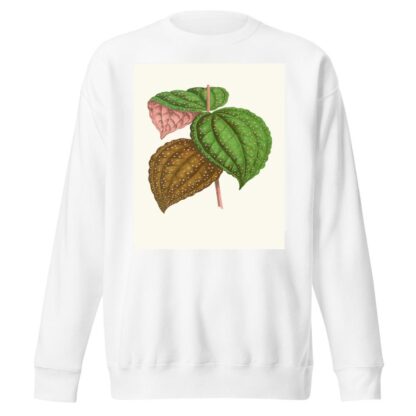 Bertolonia Guttata by Edward Joseph Lowe Sweatshirt