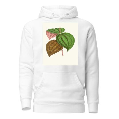 Bertolonia Guttata by Edward Joseph Lowe Hoodie