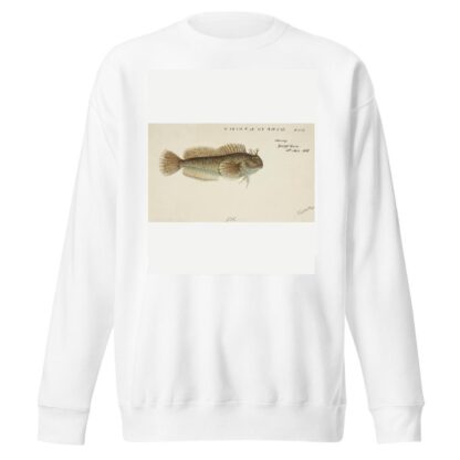 Blenniidae by Frank Edward Clarke Sweatshirt