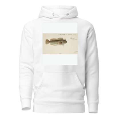 Blenniidae by Frank Edward Clarke Hoodie