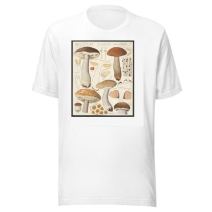 Boletus scaber Bulliard. by Hans Walty T-Shirt