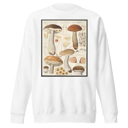 Boletus scaber Bulliard. by Hans Walty Sweatshirt