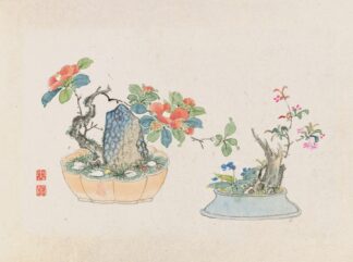 Bonsai kabenzu, Pl.04 by Anonymous