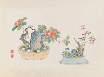 Bonsai kabenzu, Pl.04 by Anonymous