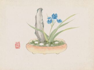 Bonsai kabenzu, Pl.11 by Anonymous