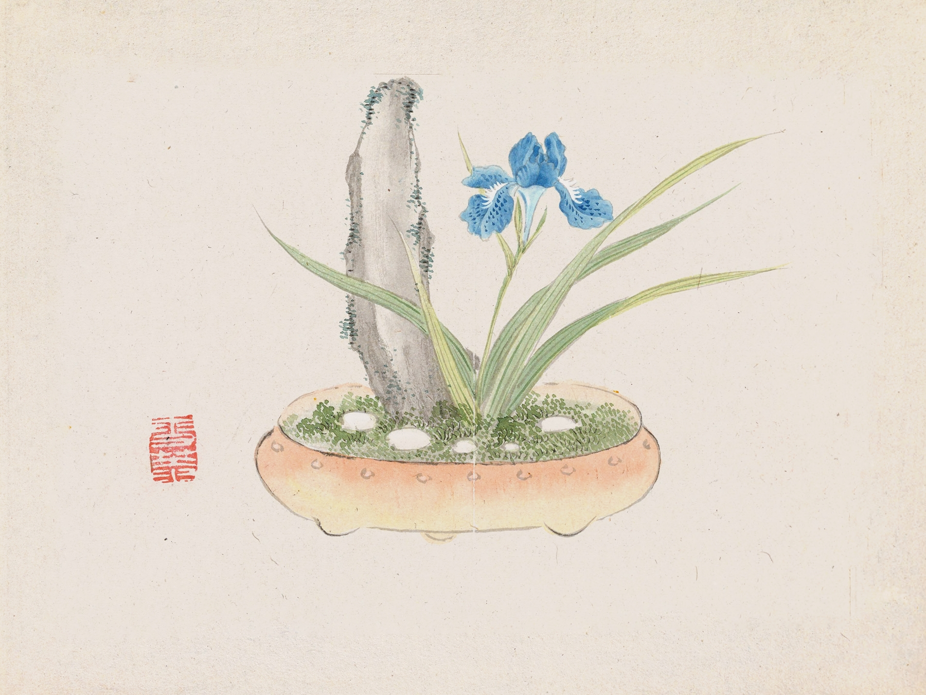 Bonsai kabenzu, Pl.11 by Anonymous
