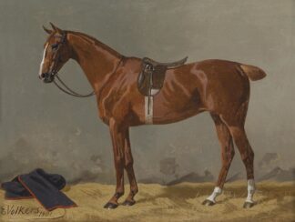 Brauner gesattelt im Stall by Emil Volkers