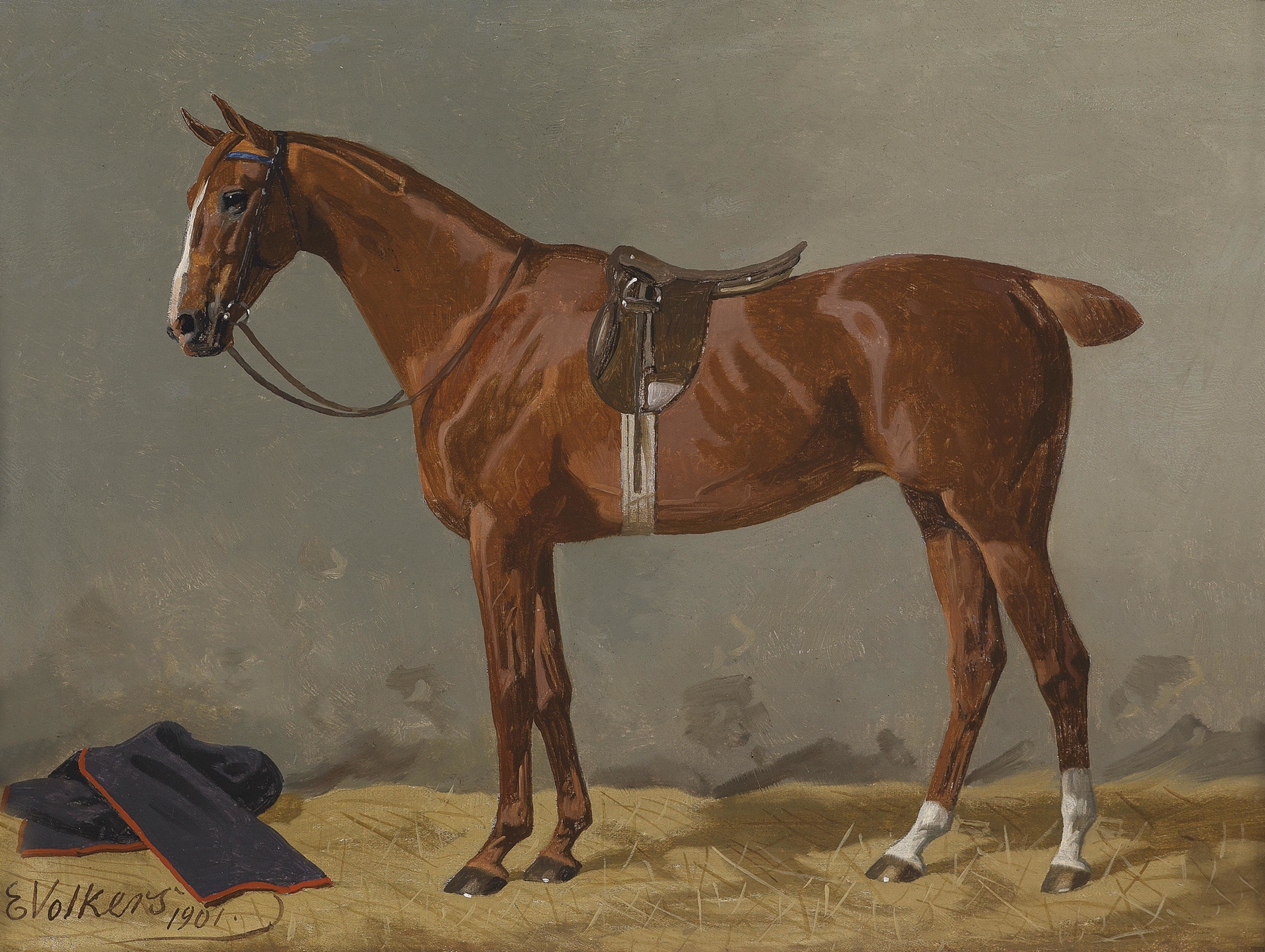 Brauner gesattelt im Stall by Emil Volkers