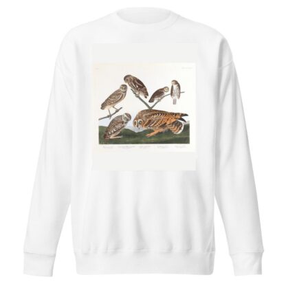 Burrowing owl. Large-headed burrowing owl. Little night owl. Columbian owl. Short-eared owl by John James Audubon Sweatshirt