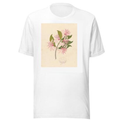 Calodendrum capense by Clemenz Heinrich Wehdemann T-Shirt