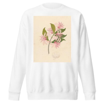 Calodendrum capense by Clemenz Heinrich Wehdemann Sweatshirt