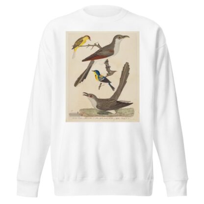 Carolina Cuckoo, Black-billed Cuckoo, Blue Yellow-backed Warbler, and Yellow Red-poll Warbler by Alexander Lawson Sweatshirt