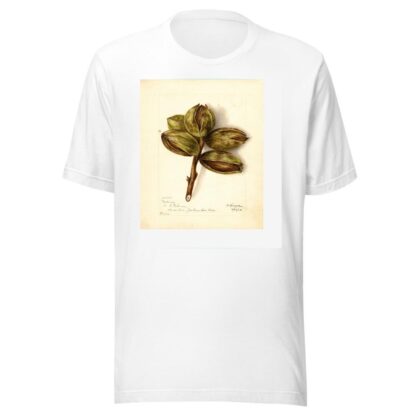 Carya: Delmas by Bertha Heiges T-Shirt