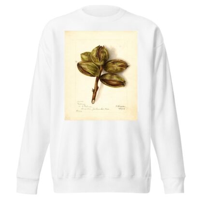 Carya: Delmas by Bertha Heiges Sweatshirt