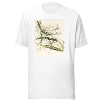 Caterpillar of Metopsilus Tersa, Sphinx Chionanthi, Sphinx Gaurae by James Duncan T-Shirt