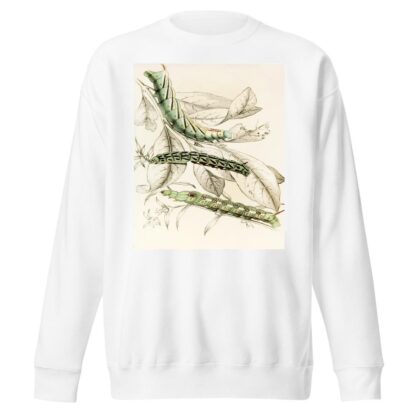 Caterpillar of Metopsilus Tersa, Sphinx Chionanthi, Sphinx Gaurae by James Duncan Sweatshirt
