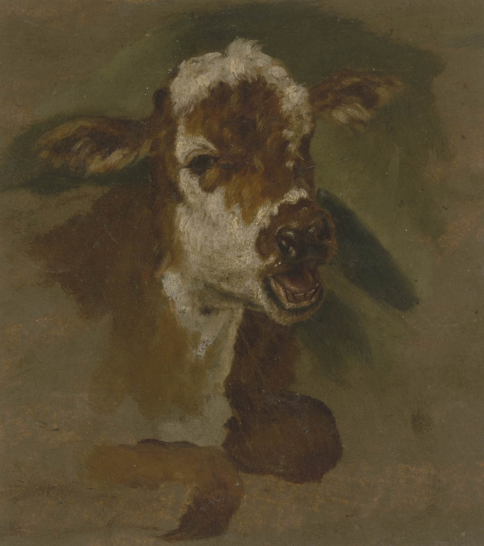 Cattle head by Adriaen van de Velde