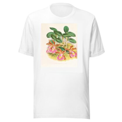 Cattleya schilleriana by Jean Jules Linden T-Shirt