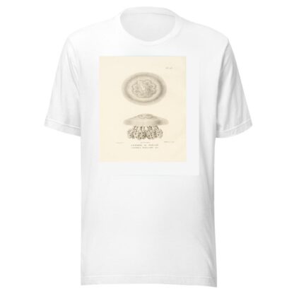 Centurie zoologique Pl.23 by René-Primevère Lesson T-Shirt
