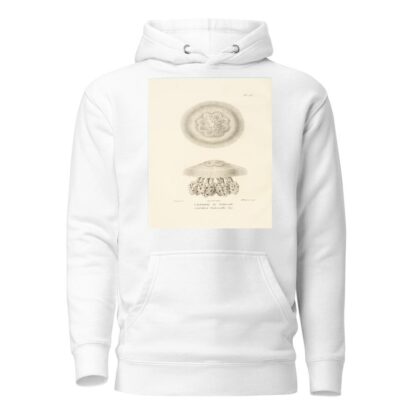 Centurie zoologique Pl.23 by René-Primevère Lesson Hoodie