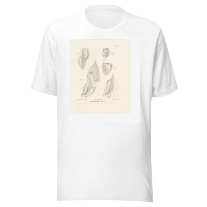 Centurie zoologique Pl.56 by René-Primevère Lesson T-Shirt