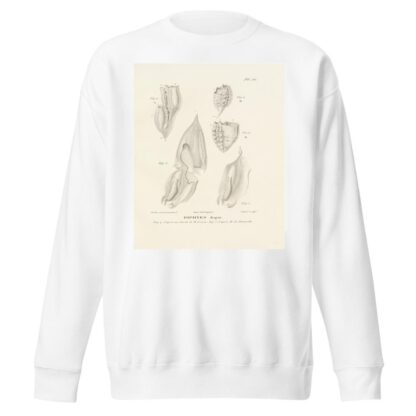 Centurie zoologique Pl.56 by René-Primevère Lesson Sweatshirt